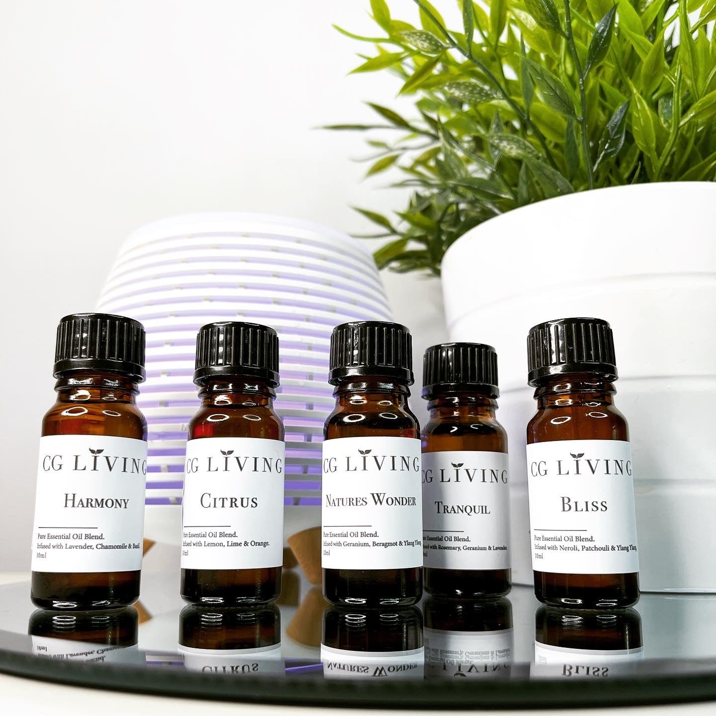 Essential Oil Blends (Set of 5)
