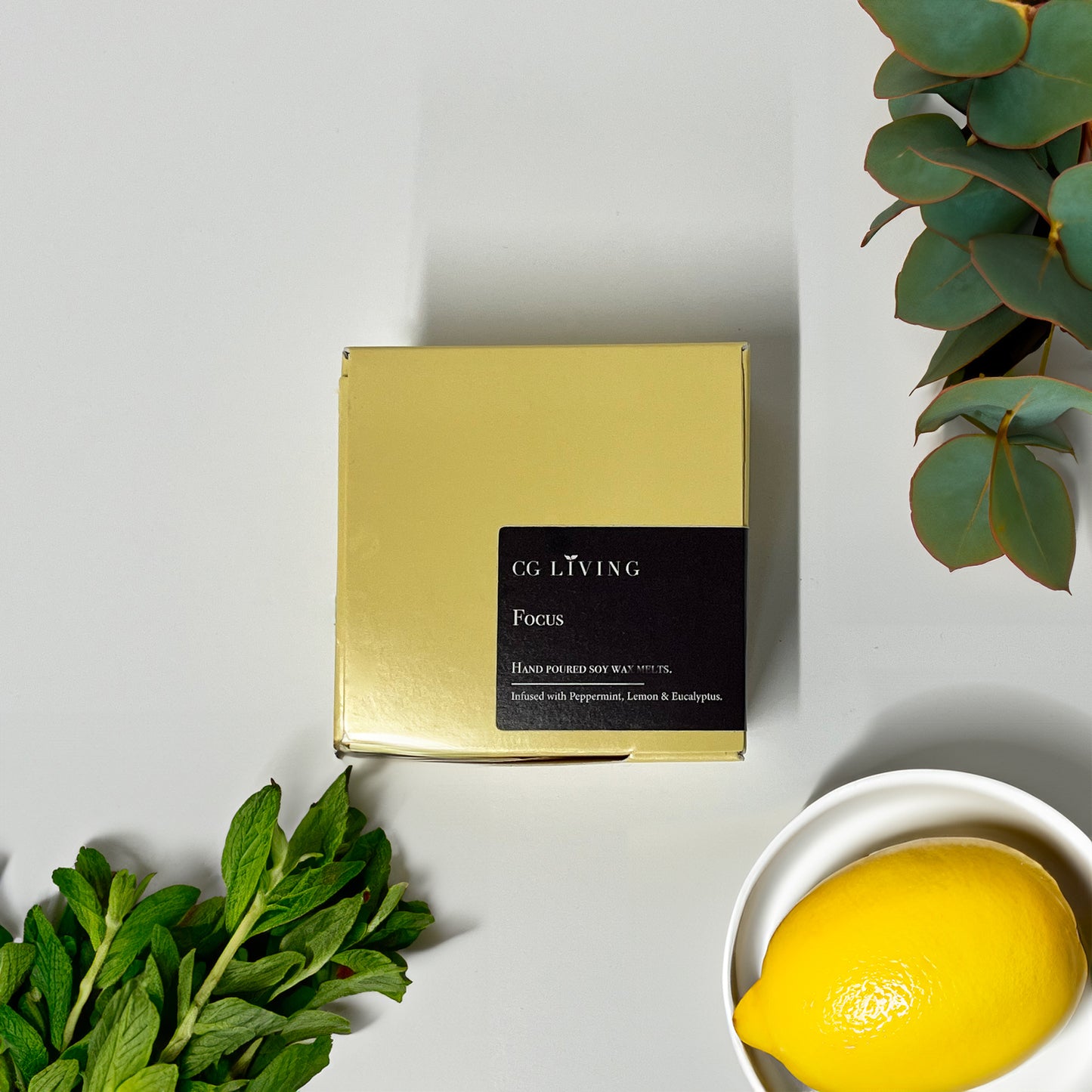 Focus Wax Melts
