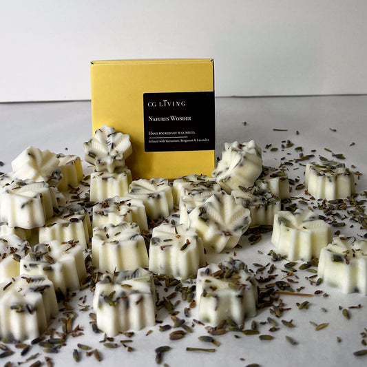 Natures Wonder Wax Melts